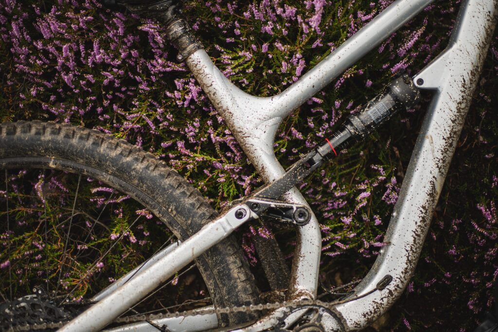 pexels photo 10883504 10883504 Close-up of a mountain bike covered in dirt, surrounded by vibrant heather flowers.
